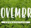 Commencer Un Jardin En Permaculture Frais Que Faire Dans son Jardin Permaculture En Novembre Permaculture