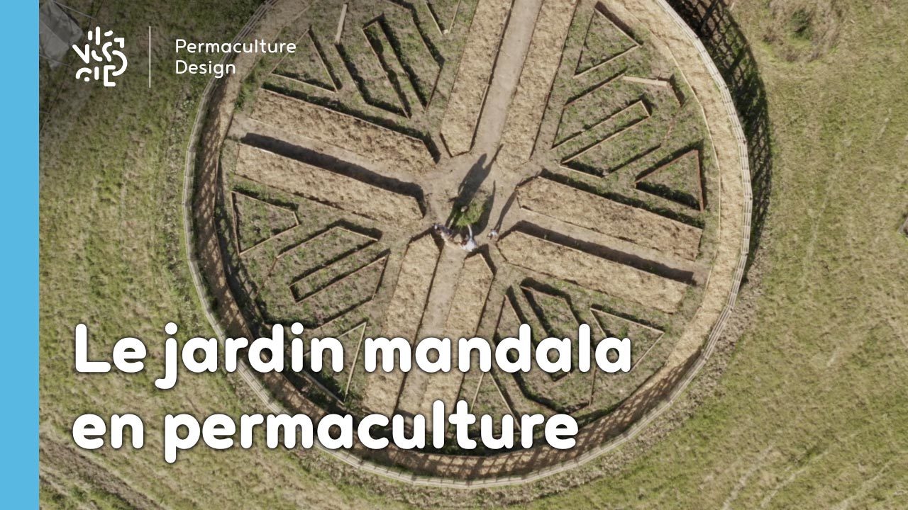 Commencer Un Jardin En Permaculture Inspirant Le Jardin Mandala En Permaculture