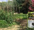 Commencer Un Jardin En Permaculture Inspirant Nmes Le Jardin Des Garrigues Une Passion Une Fa§on De