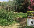 Commencer Un Jardin En Permaculture Inspirant Nmes Le Jardin Des Garrigues Une Passion Une Fa§on De