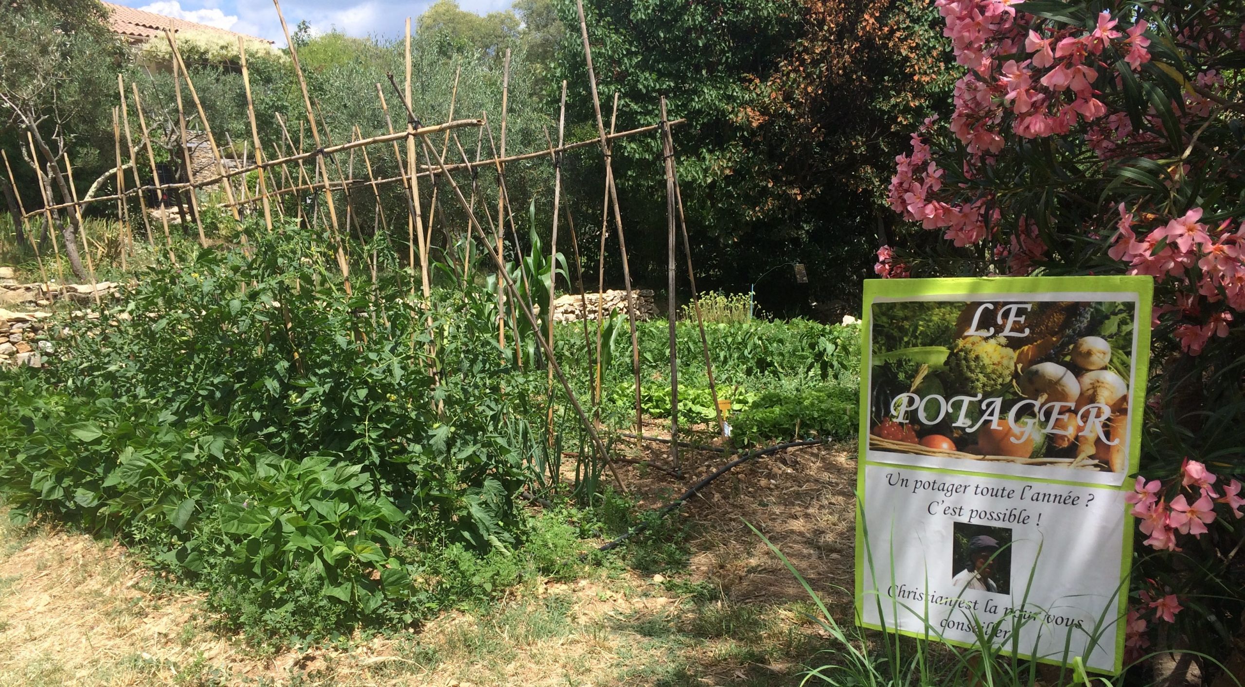 Archivert Garrigue jardin Anthony Maurin 1 e