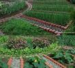 Commencer Un Jardin En Permaculture Inspirant Provide Your Garden A Fresh View This Season with these