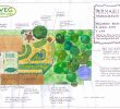 Commencer Un Jardin En Permaculture Luxe Débuter Un Jardin Potager En Permaculture