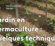 Commencer Un Jardin En Permaculture Luxe Exemple De Techniques Pour Un Jardin Potager En Permaculture