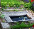 Commencer Un Jardin En Permaculture Luxe Le Potager 3p Mon Premier Potager Permanent