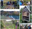 Commencer Un Jardin En Permaculture Luxe Visite D Un Potager En Permaculture Transition Chastre