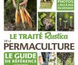 Commencer Un Jardin En Permaculture Nouveau Amazon Le Traité Rustica De La Permaculture Collectif