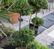Commencer Un Jardin En Permaculture Nouveau épinglé Par Francine Guex Sur Garden