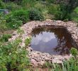 Commencer Un Jardin En Permaculture Nouveau La P¢ture Es Chªnes Jardin forªt Jardin Ressource