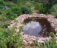 Commencer Un Jardin En Permaculture Nouveau La P¢ture Es Chªnes Jardin forªt Jardin Ressource