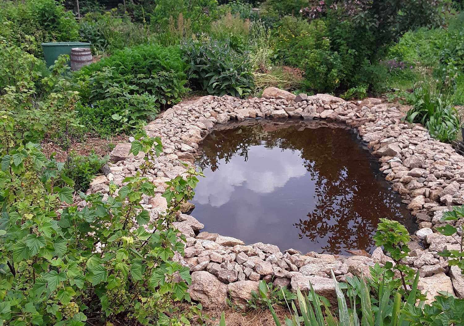 mare jardin permaculture bretagne