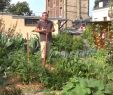 Commencer Un Jardin En Permaculture Nouveau Mon Jardin Potager Urbain Permaculture Sept 2015