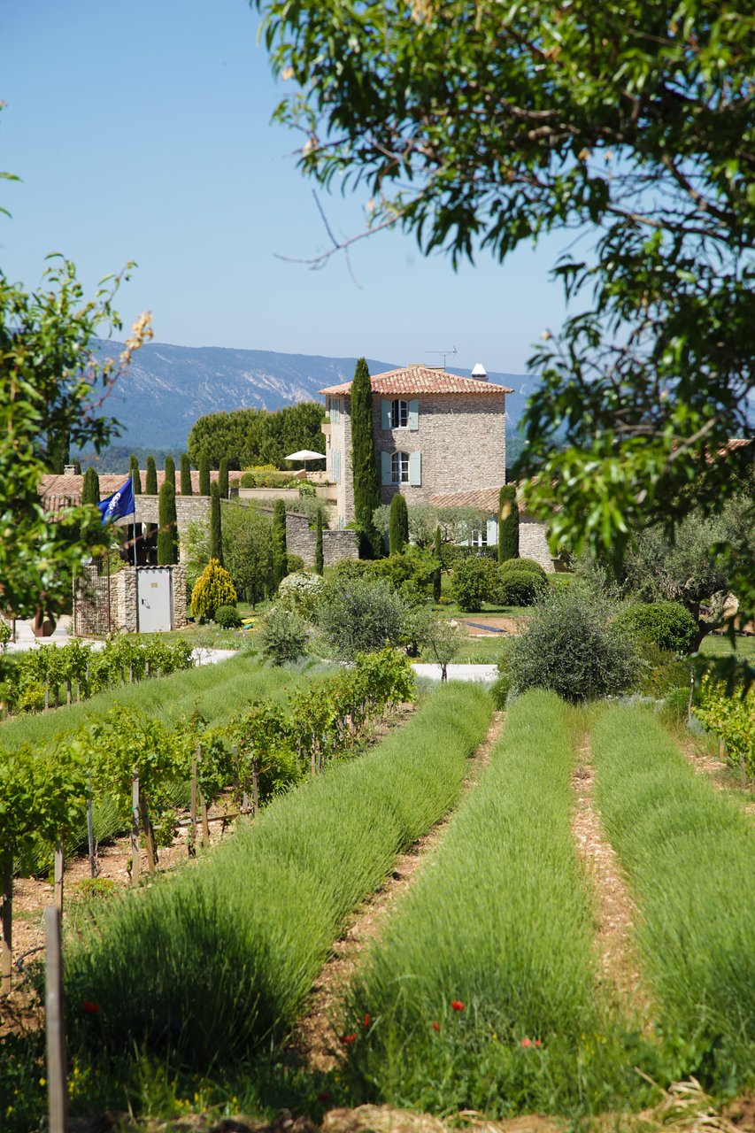 Commencer Un Jardin En Permaculture Nouveau the Best Farm Stays In Luberon Of 2020 with Prices