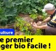 Commencer Un Jardin En Permaculture Nouveau Votre Premier Potager Bio Et En Permaculture   Partir De Zéro