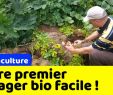 Commencer Un Jardin En Permaculture Nouveau Votre Premier Potager Bio Et En Permaculture   Partir De Zéro