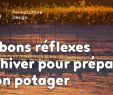 Commencer Un Jardin En Permaculture Unique 5 Bons Réflexes D Hiver Pour Préparer son Potager…