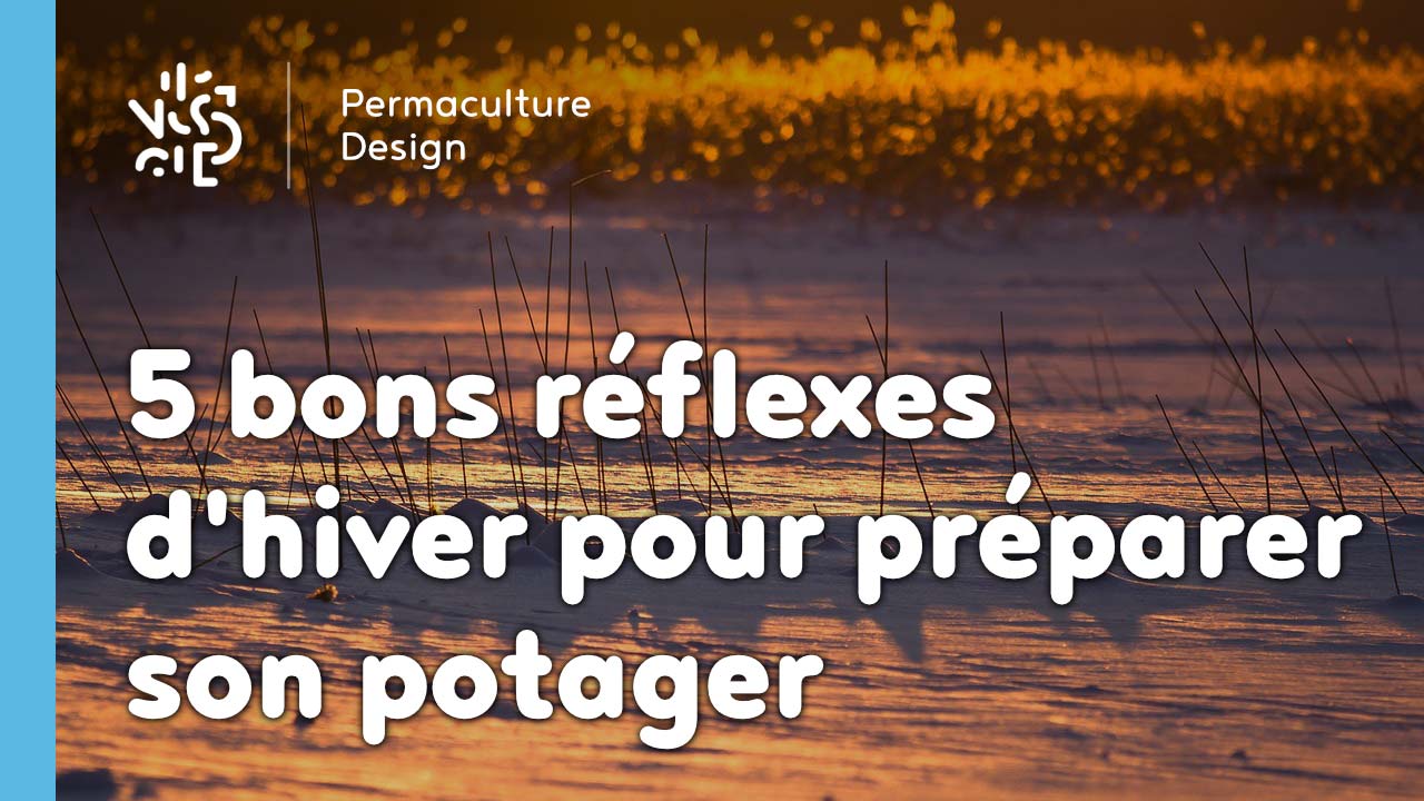 vignette 5 bons reflexes d hiver pour preparer son potager