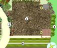 Commencer Un Jardin En Permaculture Unique Créer Un Jardin En Permaculture Plan