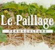 Commencer Un Jardin En Permaculture Unique Le R´le Du Paillage Dans Le Jardin Permaculture