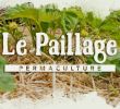 Commencer Un Jardin En Permaculture Unique Le R´le Du Paillage Dans Le Jardin Permaculture