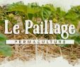 Commencer Un Jardin En Permaculture Unique Le R´le Du Paillage Dans Le Jardin Permaculture