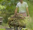 Commencer Un Jardin En Permaculture Unique Préparer Le sol En Respectant La Terre Nourrir Pailler