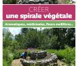 Comment Aménager son Jardin Beau Créer Une Spirale Végétale Amazon Erckenbrecht Irmela