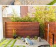 Comment Aménager son Petit Jardin Best Of à¸à¸§à¸²à¸¡à¸¥à¸±à¸à¸à¸±à¹à¸à¸ à¸¡à¸à¹à¸à¸à¸²à¸£à¸ªà¸£à¹à¸²à¸à¸à¸²à¸£à¸à¸à¹à¸à¹à¸à¸ªà¸§à¸à¸à¹à¸§à¸¢à¹à¸à¸à¹à¸¥à¸°à¸ à¸²à¸à¸à¹à¸²à¸¢à¹à¸£à¸