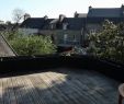 Comment Aménager son Petit Jardin Élégant Aménagement D Une Terrasse Parisienne Plantiste épisode