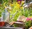 Comment Aménager son Petit Jardin Inspirant Vrtnarjenje Ni Raketna Znanost Dokaz V 99 Fotografijah In