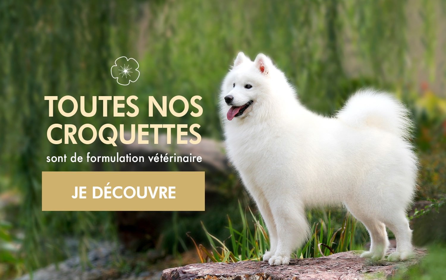 Comment Aménager Un Jardin Beau Free Line Website Malware Scanner