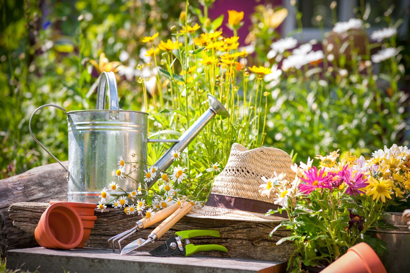 ne pas oublier de cultiver son jardin prendre des soins arroser désherber tailler les plantes pour aménager son jardin