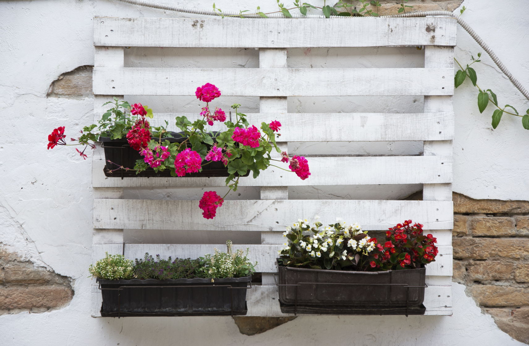 Comment Aménager Un Jardin Nouveau à¸à¸¹à¹à¸ªà¸£à¹à¸²à¸à¸à¸²à¹à¸¥à¸à¹à¸à¸£à¸¹à¸à¹à¸¥à¸°à¸§à¸´à¸à¸µà¹à¸­à¸à¸³à¸à¸§à¸ 80 à¸£à¸¹à¸à¹à¸à¸à¸à¸µà¹à¸à¸°à¸à¹à¸§à¸¢à¹à¸ à¹à¸à¸¸à¸