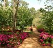 Comment Aménager Un Jardin Nouveau Vrtnarjenje Ni Raketna Znanost Dokaz V 99 Fotografijah In