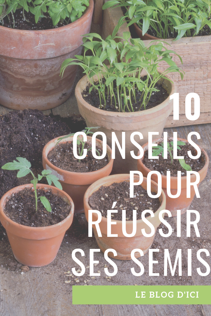 Comment Jardiner Avec La Lune Beau Les 227 Meilleures Images De Jardin