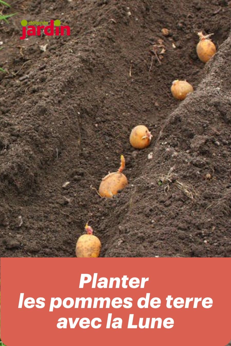 Comment Jardiner Avec La Lune Élégant Les 251 Meilleures Images De Potager En 2020