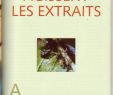 Comment Jardiner Avec La Lune Élégant Purin D ortie & Prcrur Les Plantes Au Secours Des