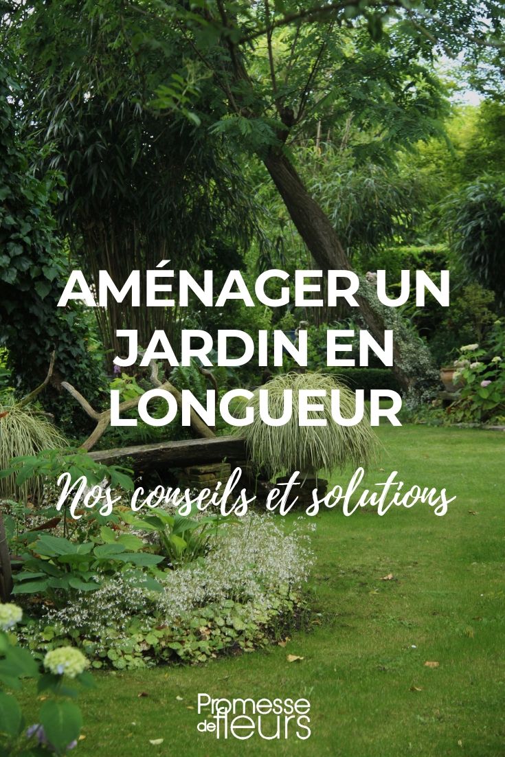 Comment Jardiner Avec La Lune Inspirant Les 230 Meilleures Images De Jardin En 2020