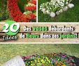 Conception Jardin Nouveau Des Vases Débordants De Fleurs Dans Ces Jardins 13 Idées