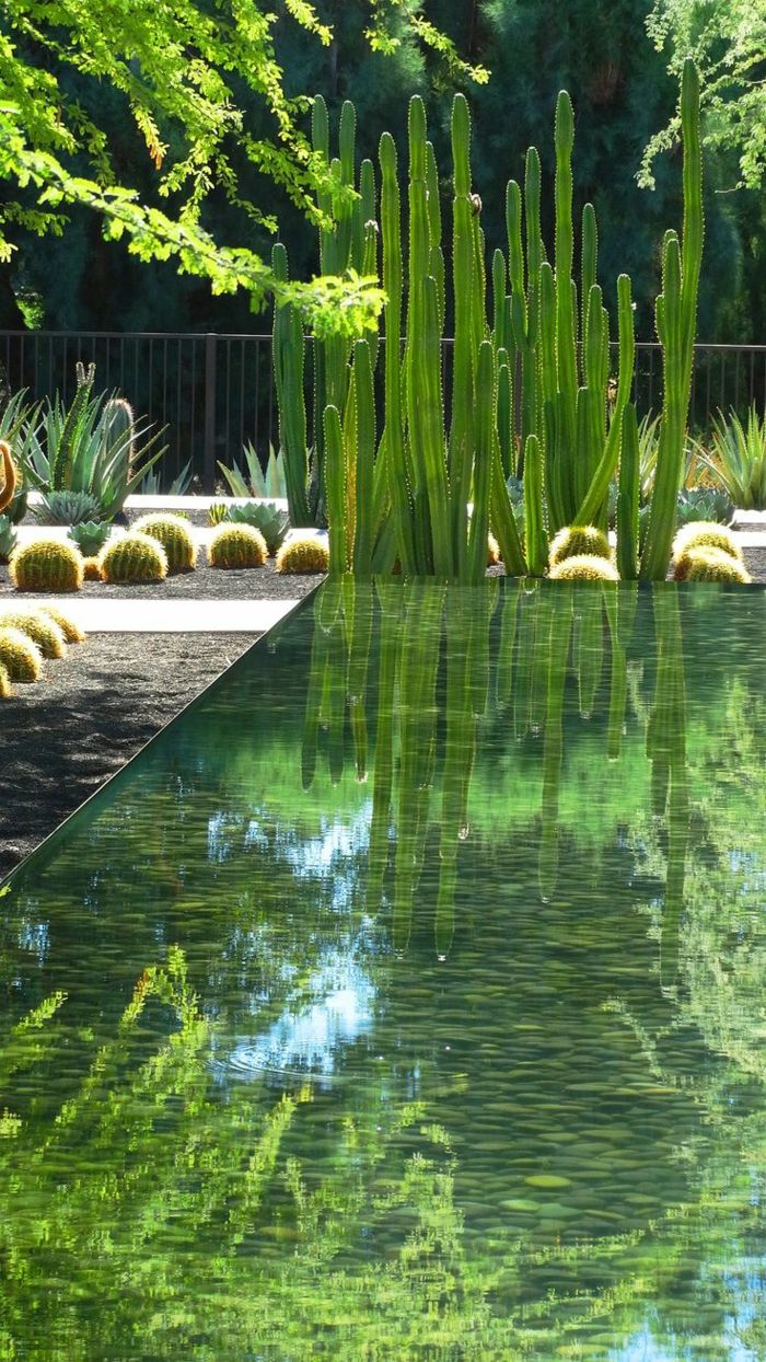 jardin paysager massifs avec piscines modernes