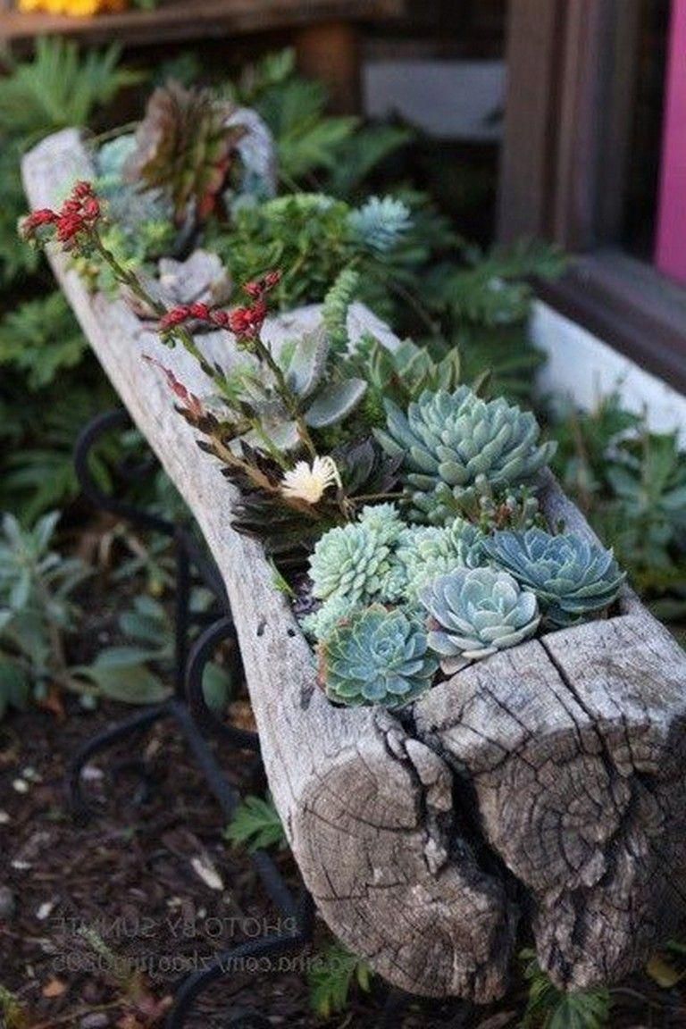 Creation Jardin Charmant 27 Marvelous Captivating Backyard Succulent Plants Garden