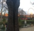 Creation Jardin Charmant L Oeuvre Manus Ultimus Paris 2020 All You Need to Know