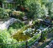 Creation Jardin Génial the Provence Post Five Gorgeous Provence Gardens to Visit