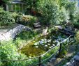 Creation Jardin Génial the Provence Post Five Gorgeous Provence Gardens to Visit