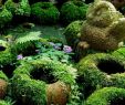 Creation Jardin Luxe Want to Make some Diy Mossy Pots with Us It S A Pretty Easy