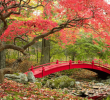 Creer Un Coin Zen Dans son Jardin Charmant Jardin Japonais 3 Conseils Pour Réaliser son Petit Coin Zen