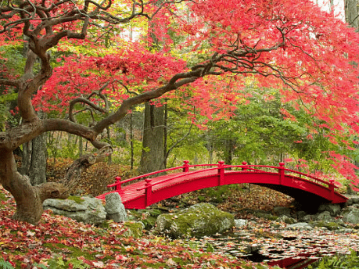 Creer Un Coin Zen Dans son Jardin Charmant Jardin Japonais 3 Conseils Pour Réaliser son Petit Coin Zen