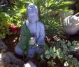 Creer Un Coin Zen Dans son Jardin Élégant Petit Coin Zen Le Jardin De Mamina Et Ezy