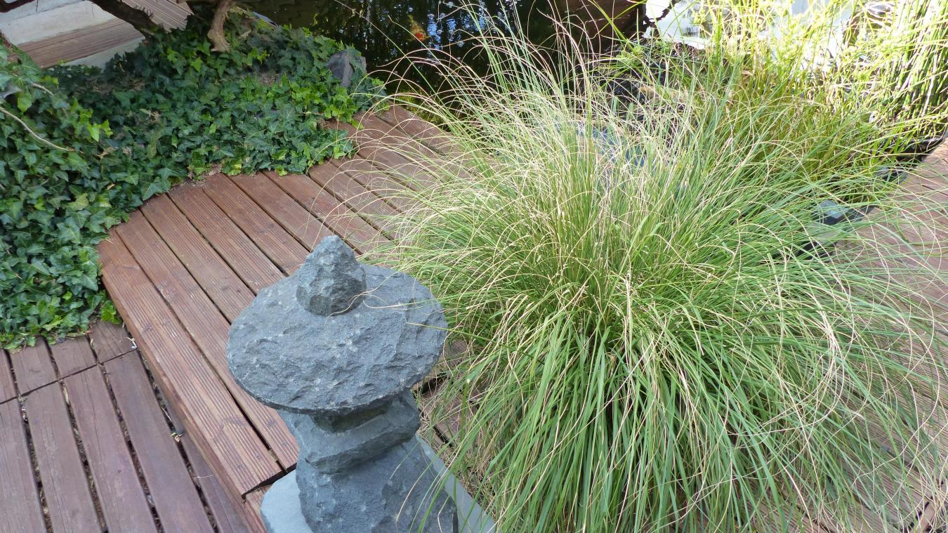 Creer Un Coin Zen Dans son Jardin Nouveau S Avec Arnaud Betou Un Coin Zen En Zone Urbaine