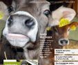 Créer Un Jardin Aromatique Nouveau Revue Ufa 09 19 by Fenaco Genossenschaft issuu